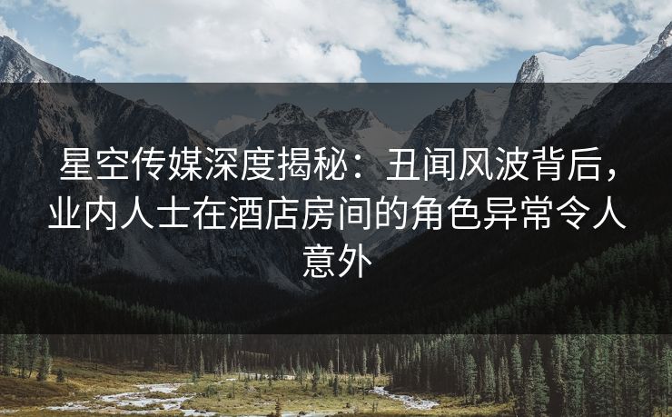 星空传媒深度揭秘：丑闻风波背后，业内人士在酒店房间的角色异常令人意外