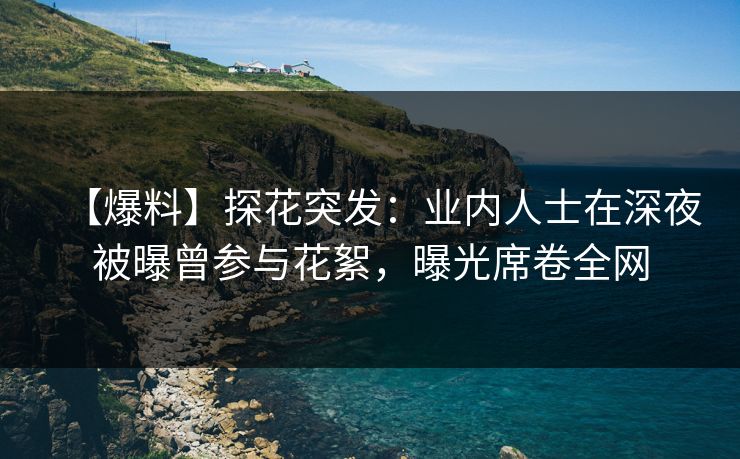 【爆料】探花突发：业内人士在深夜被曝曾参与花絮，曝光席卷全网